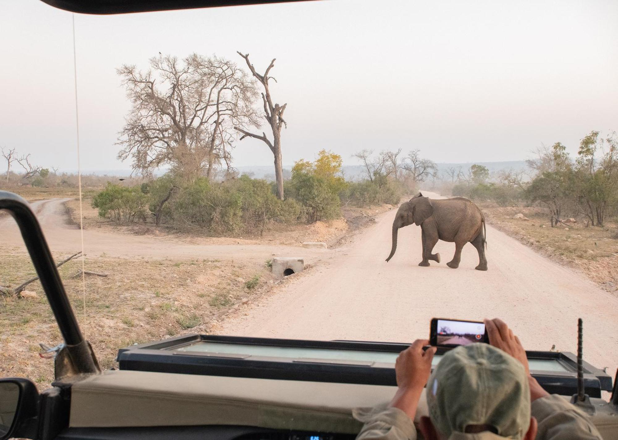 Mjejane Bush Camp By Dream Resorts Hectorspruit エクステリア 写真