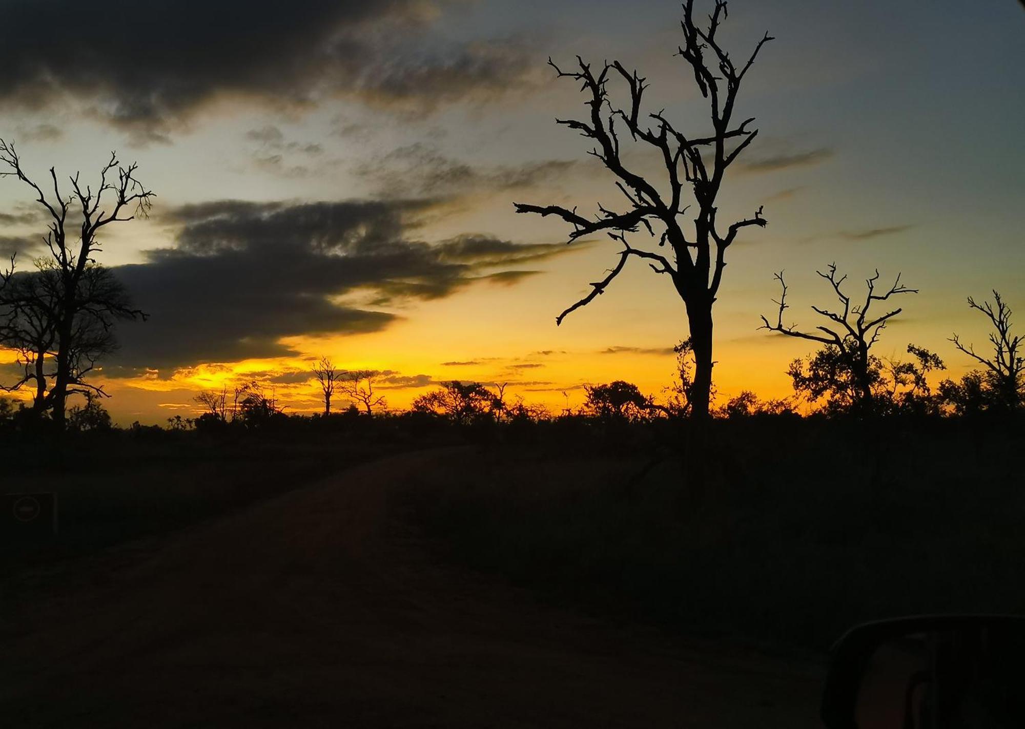 Mjejane Bush Camp By Dream Resorts Hectorspruit エクステリア 写真