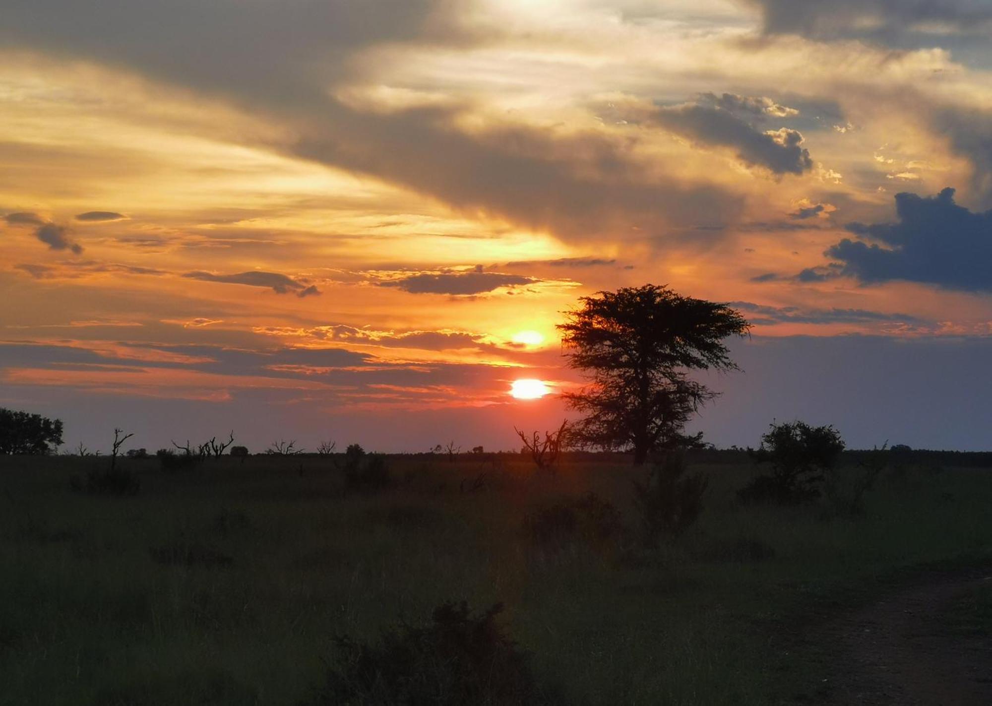 Mjejane Bush Camp By Dream Resorts Hectorspruit エクステリア 写真