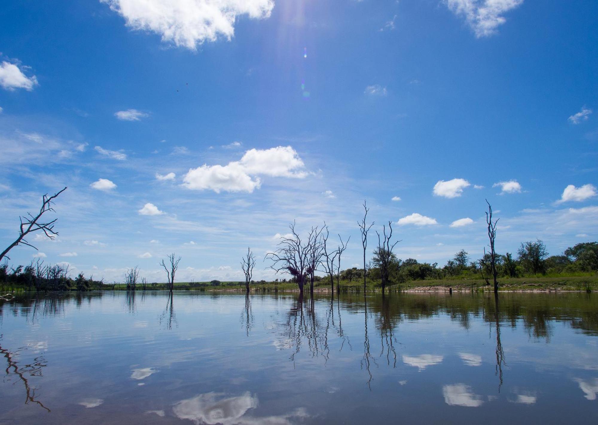 Mjejane Bush Camp By Dream Resorts Hectorspruit エクステリア 写真