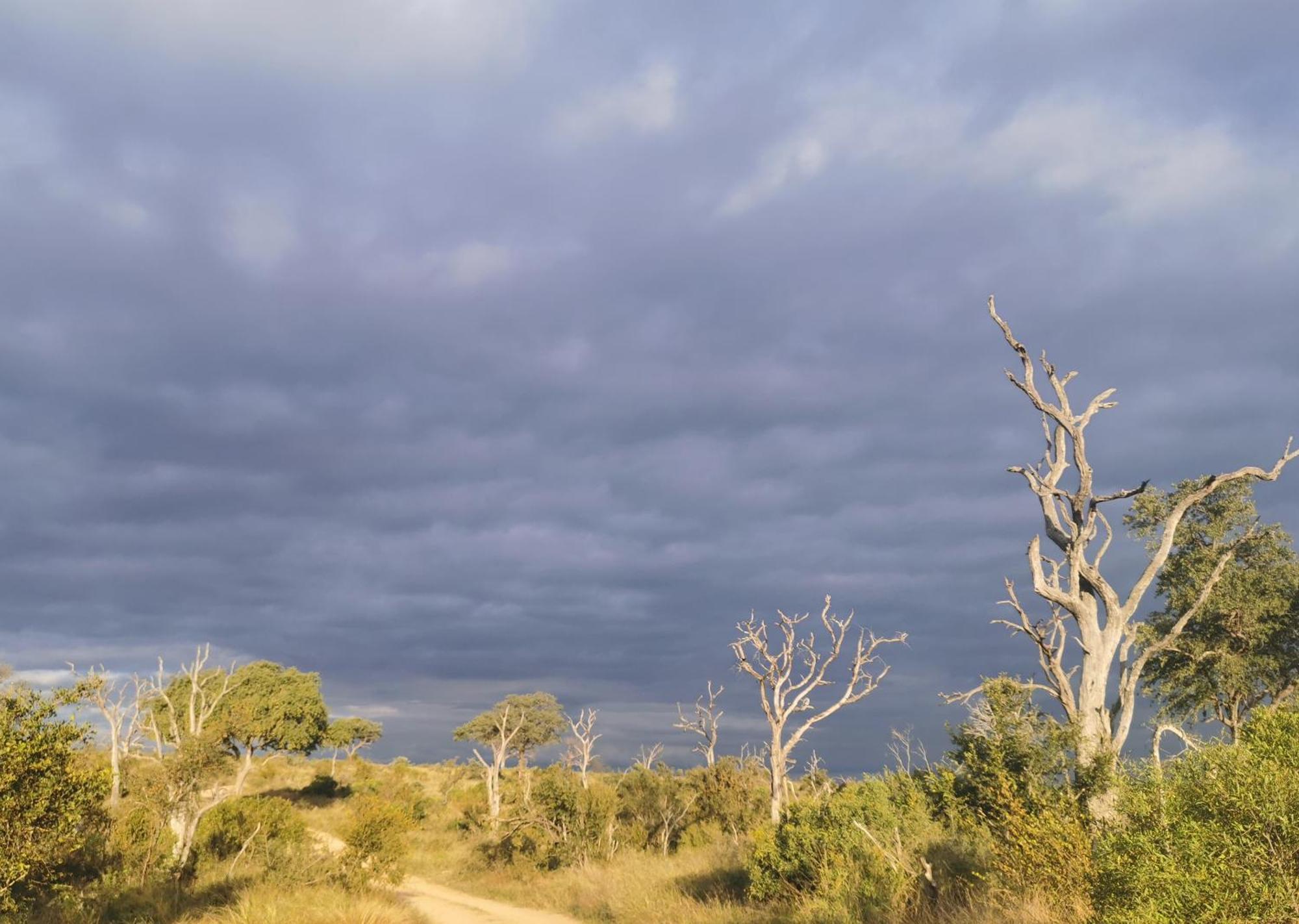 Mjejane Bush Camp By Dream Resorts Hectorspruit エクステリア 写真