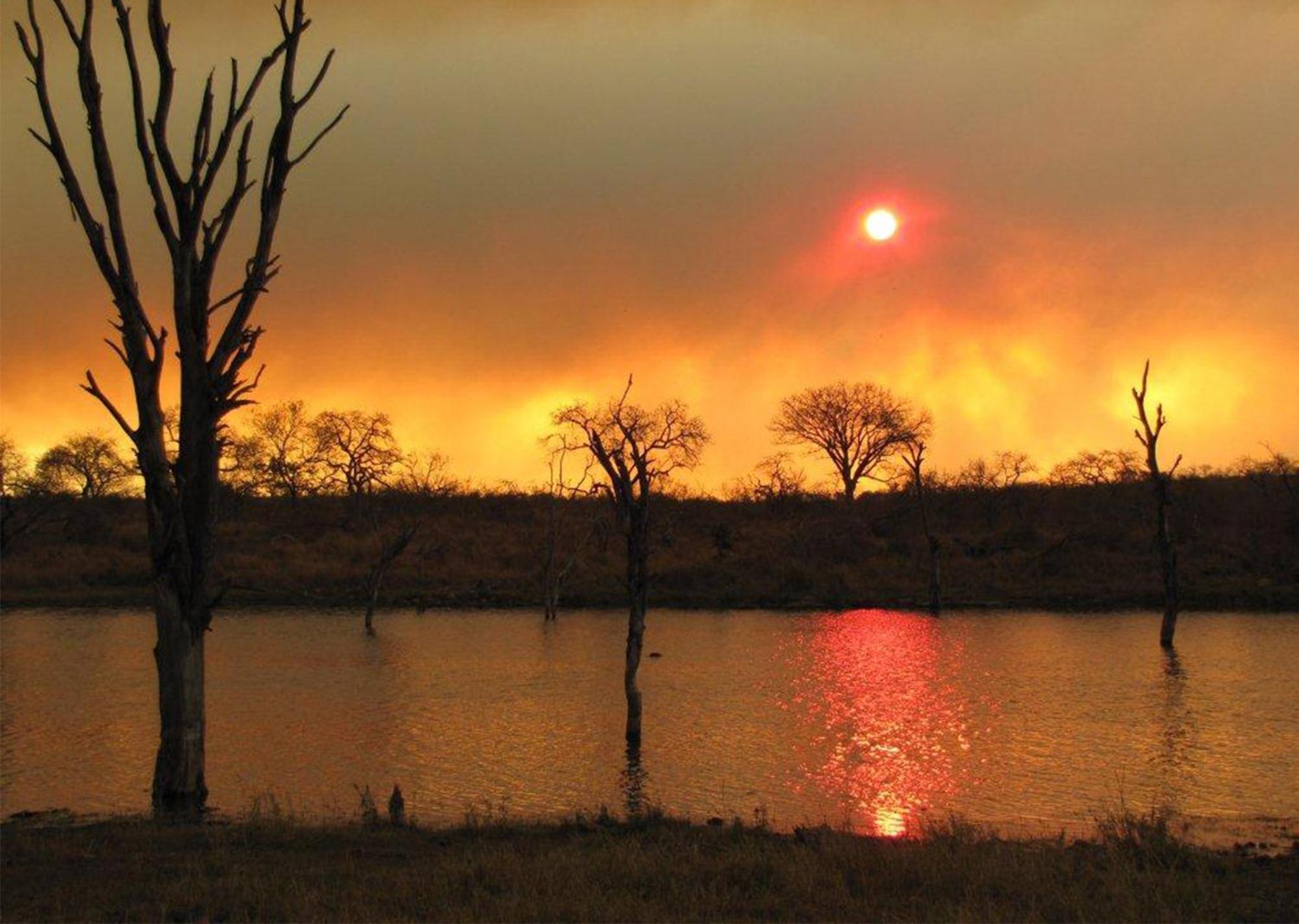 Mjejane Bush Camp By Dream Resorts Hectorspruit エクステリア 写真
