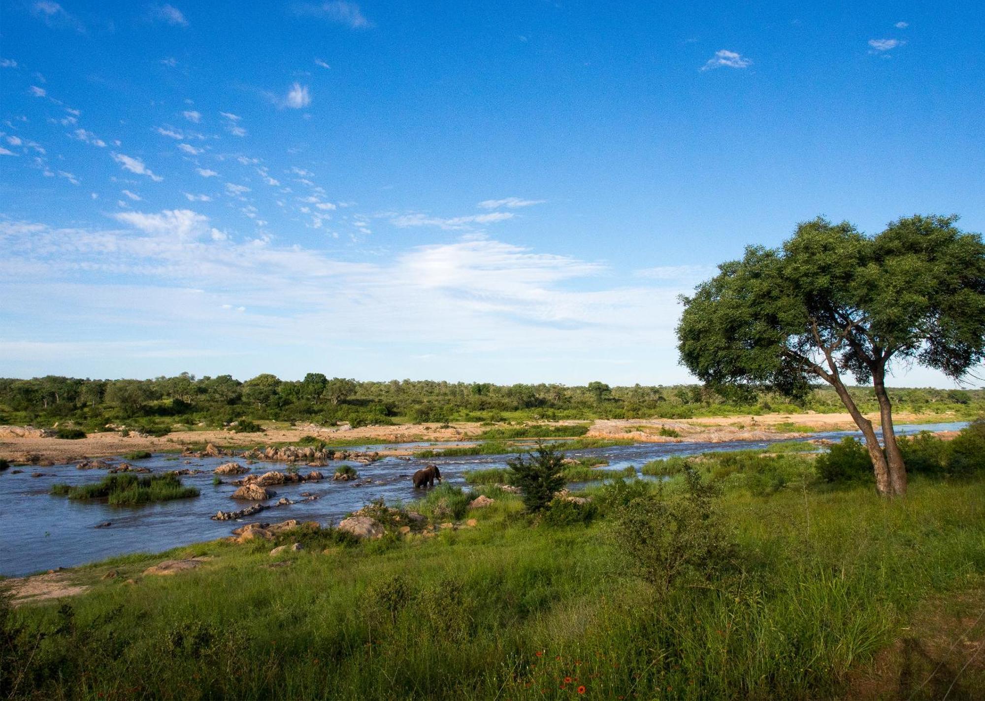Mjejane Bush Camp By Dream Resorts Hectorspruit エクステリア 写真